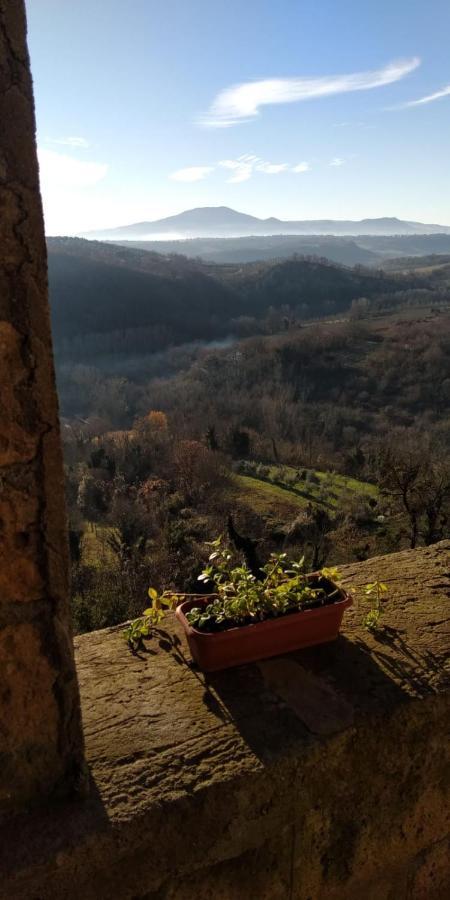 Dimora Turistica De' Piazza Hotel Roccalvecce ภายนอก รูปภาพ