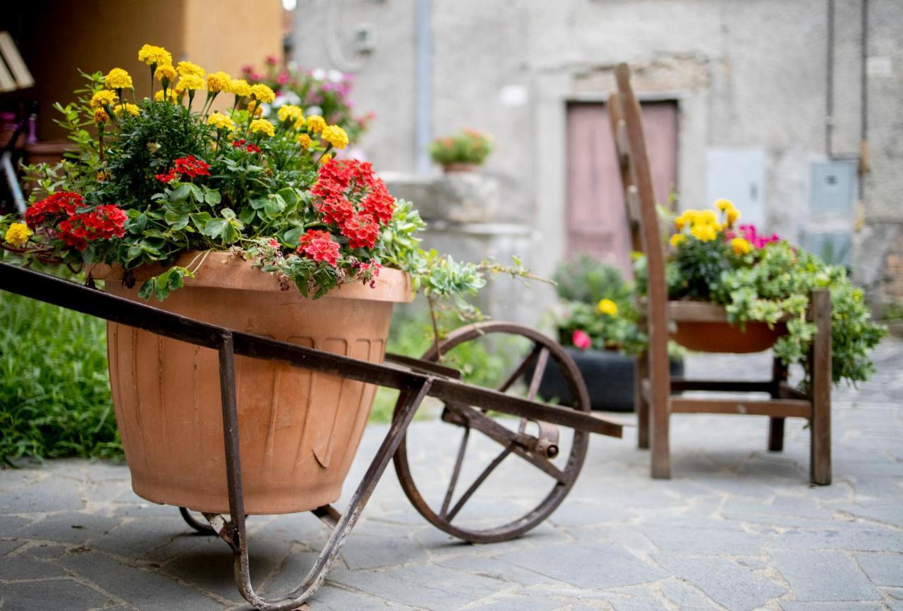 Dimora Turistica De' Piazza Hotel Roccalvecce ภายนอก รูปภาพ